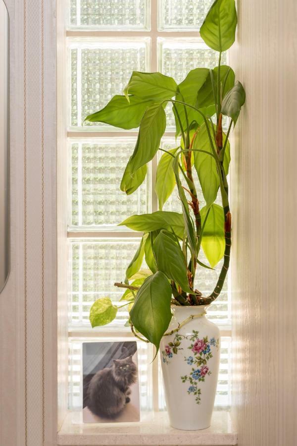 Apartments Ivan Kastela Room photo
